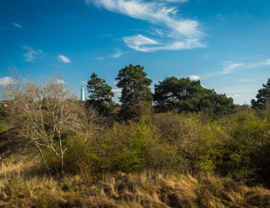 Koningskaars_Exterieur_RonArnoldussen_Fotografie360-1